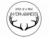 Littleatatimeweimeraners