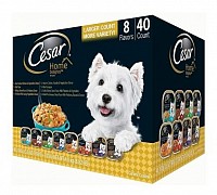 Cesar wet food