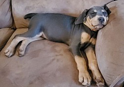 Sleepy girl