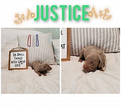 Justice