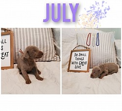 July