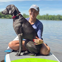 blue weim