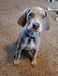 honey growing up