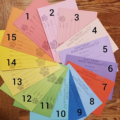 LAAT puppy birth certificates
